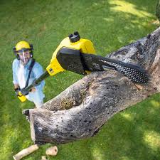 Best Commercial Tree Services  in USA